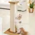 Kratzsäule aus Sisal mit quadratischer Basis und Holzplatte, demonstriert von einer Katze in einem Wohnzimmer.