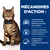 Graphique avec chat et texte en français : technologie de fibres spéciale pour un double effet nettoyant, forme unique de croquettes pour le nettoyage des dents, alimentation équilibrée avec antioxydants.