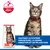 Hill's Science Plan Adulte 1-6 Saumon Hill's Science Plan Adulte 1-6 Saumon