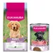 Croquettes Eukanuba Premium Nutrition 12 kg ou 15 kg pour chien + boîtes 3 x 400 g offertes ! -Puppy Large et Giant Breed agneau et riz (12 kg) + Puppy Riche en Bœuf et Citrouille