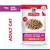 Hill's Science Plan Premium Chunks in Sauce with Beef, Adult Cat 1-6, Chunks in Gravy, Premium Cat Food. With beef. For adult cats. Hill's Science Plan Premium Chunks in Sauce with Beef, Adult Cat 1-6, Chunks in Gravy, Premium Cat Food. With beef. For adult cats.