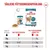 Royal Canin Ageing 11+ in Soße