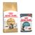 4 kg Maine Coon Adult + 24 x 85 g Hairball Care in Salsa