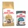4 kg Maine Coon Adult + 24 x 85 g Hairball Care in Salsa