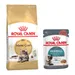 Pack bi-nutrition : croquettes + sachets Royal Canin - Maine Coon Adult (4 kg) + sachets Hairball Care en sauce
