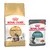 Maine Coon Adult (4 kg) + sachets Hairball Care en sauce