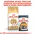 Royal Canin Siamese Adult Trockenfutter und Intense Beauty Frischebeutel. Ergänzen Sie die tägliche Portion Trockenfutter durch einen Frischebeutel.