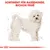 Sortiment für Rassehunde: Bichon Frisé. Illustration eines weissen Bichon Frisé mit Masslinien, passend für spezifische Produkte.