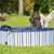 beeztees Hundeplanschbecken Doggy Dip, blau