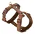 Nomad Tales Geschirr Blush Limited Edition, mocha - Größe S: ca. 37 - 53 cm Brustumfang