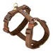 Nomad Tales Geschirr Blush Limited Edition, mocha - Größe S: ca. 37 - 53 cm Brustumfang