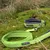 Icepeak Pet Grand X Halsband, limette