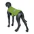 Icepeak Pet Cooling Dog Vest – Green
