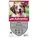 Advantix® chien moyen, de 10 kg à 25 kg - 6 mois de protection (6 pipettes)