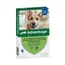 Advantage® 400 voor Honden vanaf 25 kg - Dubbelpak 2 x 4 Pipetten - NL