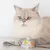 Sparpaket GimCat ShinyCat Filet in Jelly 12 x 70 g - Thunfisch & Hühnchen Mix Sparpaket GimCat ShinyCat Filet in Jelly 12 x 70 g - Thunfisch & Hühnchen Mix