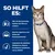 So hilft es: Schutz der Nierenfunktion, Anregung des Appetits und Förderung der Nahrungsaufnahme, Unterstützung beim Aufbau und Erhalt von Muskelmasse. Katze mit blauem Halsband sichtbar.