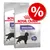 Două pungi Royal Canin Sterilised Maxi pentru câini, text vizibil: 'Maintains Ideal Weight', 'Proven results -14% calories', simbol reducere procentuală pe fundal roșu. Două pungi Royal Canin Sterilised Maxi pentru câini, text vizibil: 'Maintains Ideal Weight', 'Proven results -14% calories', simbol reducere procentuală pe fundal roșu.