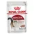 en complément : 12 x 85 g sachets Royal Canin Instinctive en mousse