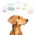 Reines Futter, perfektes Eiweiß-Fett-Verhältnis, Tierschutz, bessere Welt, glückliche gesunde Hunde. Illustration mit Hund und Symbolen.