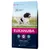 EUKANUBA Active Adult hundfoder, Optimal Body Condition, för medelstora raser 10–25 kg, +1–7 år. Text: Rich in fresh chicken. Bild på springande hund. EUKANUBA Active Adult hundfoder, Optimal Body Condition, för medelstora raser 10–25 kg, +1–7 år. Text: Rich in fresh chicken. Bild på springande hund.