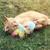 Red cat playing with a colourful plush toy shaped like a llama on grass.