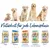 Happy Dog Naturkost für jede Lebensphase. Produktlinien: Welpe, Junghund, Erwachsen mit viel Geschmack, Erwachsen für besondere Ansprüche, Senior.