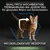 Qualitativ hochwertige Tiernahrung für gesundes Altern von Seniorkatzen. Mit der Longevis® Rezeptur, speziell für sterilisierte Katzen.