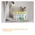 Quatre sachets GimCat : Käse Rollis, Milk Bits, Mint Tips, Gras Bits devant un chat. Texte en allemand : Geeignet zur täglichen Fütterung aller Altersklassen.