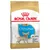 Royal Canin Chihuahua Puppy Crocchette per cane - 1,5 kg