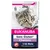 Sachet Eukanuba 2 kg pour chatons, refermable, sans gluten*, 1–12 mois, 87 % protéines animales. Texte visible : élaborée dans une usine manipulant des céréales. Sachet Eukanuba 2 kg pour chatons, refermable, sans gluten*, 1–12 mois, 87 % protéines animales. Texte visible : élaborée dans une usine manipulant des céréales.