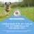 Eukanuba Special Care Weight Control Adult Small/Medium