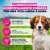 Eukanuba Premium Nutrition Puppy Small & Medium Breed Agnello & Riso
