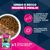 Eukanuba Premium Nutrition Adult Small Breed Pollo