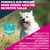 Eukanuba Premium Nutrition Adult Small Breed au poulet