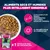 Eukanuba Premium Nutrition Senior Medium Breed au poulet pour chien