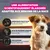 Aliment développé scientifiquement : prébiotiques pour une digestion saine, riche en protéines animales pour la masse musculaire, Dentadefense pour l’hygiène bucco-dentaire. Aliment développé scientifiquement : prébiotiques pour une digestion saine, riche en protéines animales pour la masse musculaire, Dentadefense pour l’hygiène bucco-dentaire.
