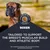 Eukanuba Adult Breed Care Specific Boxer Eukanuba Adult Breed Care Specific Boxer