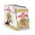 Упаковка паучей Royal Canin Persian Adult Loaf-Mousse 85 г, изображение персидской кошки и корма на тарелке, надписи: Feline Breed Nutrition, Adapted Texture.