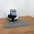 Gato negro sale de un arenero cerrado con alfombrilla gris delante, sobre suelo de madera.