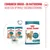 Royal Canin 11+ Senior Katten Droog- en Natvoer, Opmerking: Combineer voor optimale voeding. Verpakkingen met afbeelding van een kat, tekst in het Nederlands. Royal Canin 11+ Senior Katten Droog- en Natvoer, Opmerking: Combineer voor optimale voeding. Verpakkingen met afbeelding van een kat, tekst in het Nederlands.