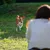Virbac Veterinary HPM Dog Urology Dissolution & Prevention U1