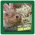 Rabbit eating hay. Text in image: Don't forget the hay! Rabbit eating hay. Text in image: Don't forget the hay!