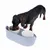 Cão a comer de um conjunto de taças com duas tigelas, uma para comida e outra para água, num suporte azul.