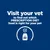 Visit your vet to find out which prescription diet food is right for your pet.