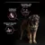 Formulé sans blé, favorise une peau saine, pour un pelage brillant – trois avantages visibles autour d’un chien sur fond noir.