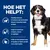 HOE HET HELPT: Voeding waarvan is bewezen dat het honden binnen 2 maanden helpt afvallen. Helpt je hond beter te lopen, rennen en springen. Helpt om het gewicht laag te houden.
