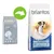 Briantos Junior 14 kg dog food packaging, old design on left and new design on right with green arrow indicating change. Visible text: 'briantos', 'Junior', '14 kg'.