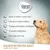 Concept for Life Golden Retriever Adult a partir dos 15 meses. Ajuda a manter o peso ideal, favorece a função cardíaca, protege articulações e cartilagens, croquetes adaptados, sem trigo nem soja.