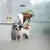 Prodotti per la cura del cane di Pet Head: shampoo e balsamo. Cane trattato con balsamo, due flaconi di shampoo sul ripiano.